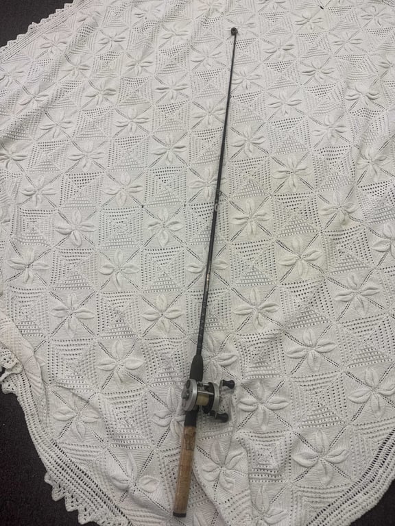 Fishing rod #12