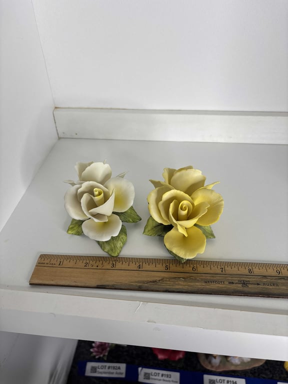 Two Golden Crown E&R Roses