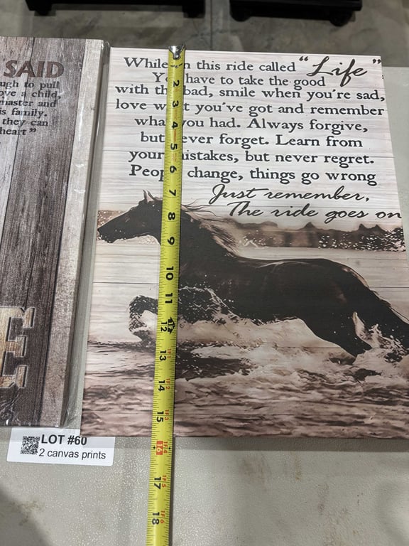 2 canvas prints - Image 4