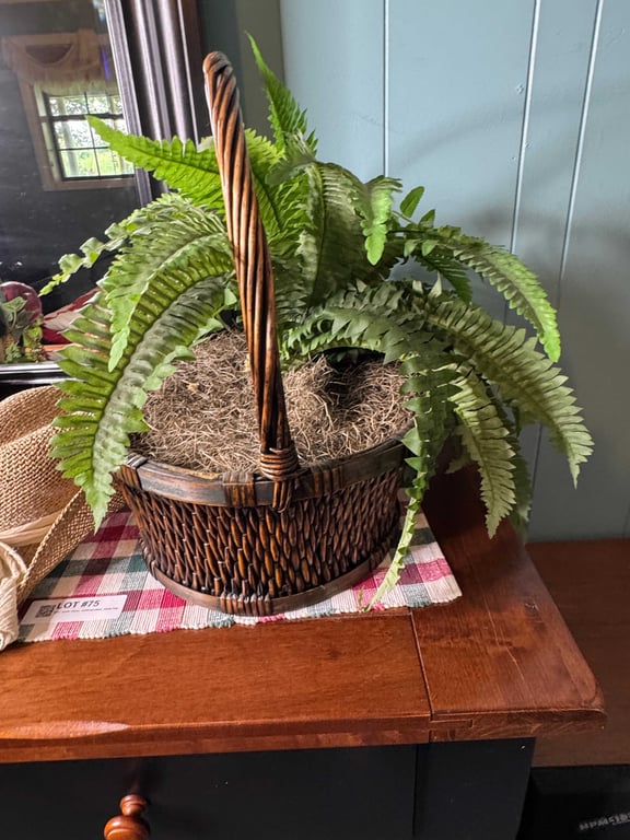 Misc apple decor, artificial plant, straw hat - Image 3
