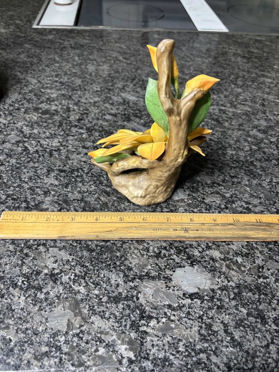 Black Eyed Susan by Capodimonte - Image 2