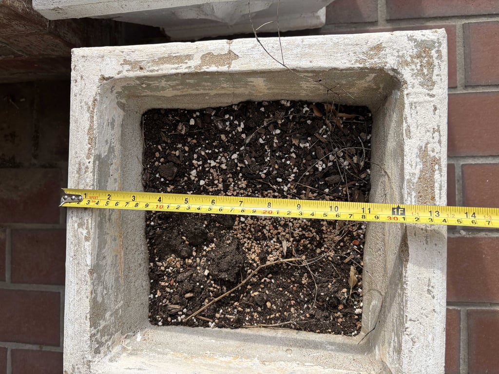 Two Concrete Planters - Image 2