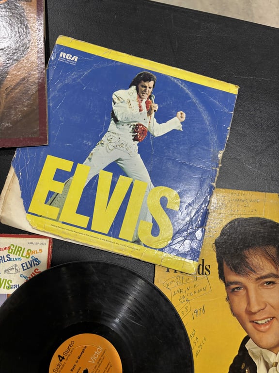 11 Elvis Albums - Image 3