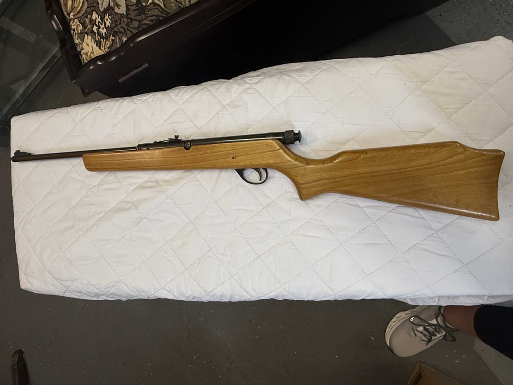 PELL MASTER 707 177 CAL SINGLE SHOT RIFLE