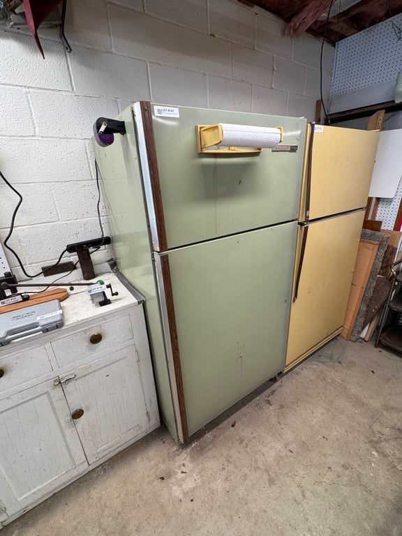 Green storage refrigerator and contents