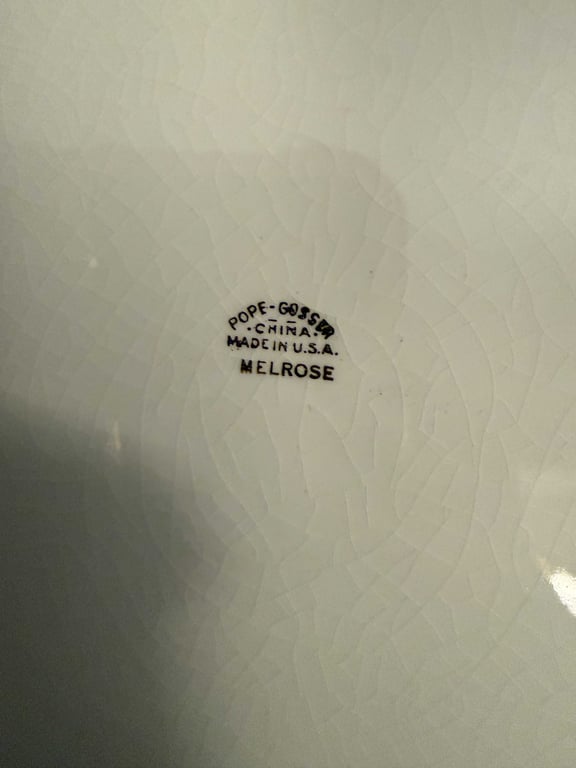 SET OF POPE-GOSSER MELROSE PATTERN CHINA - Image 4