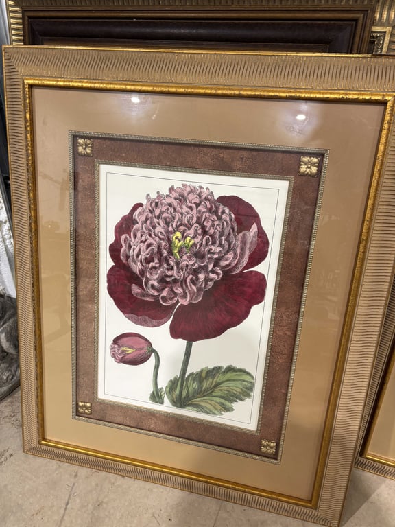Pair of Peonie Flower Pictures - Image 3