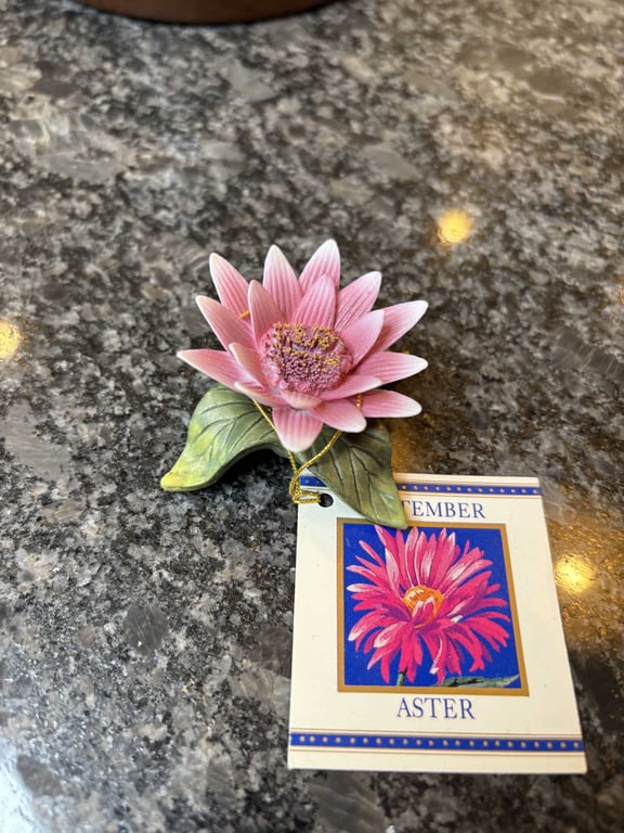 September Aster - Image 3