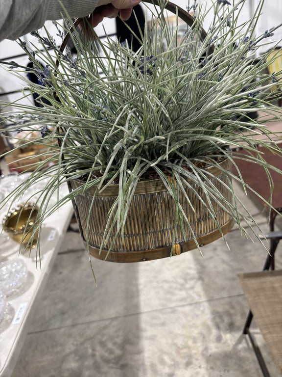 Blue and White Pot and Plant - Image 3