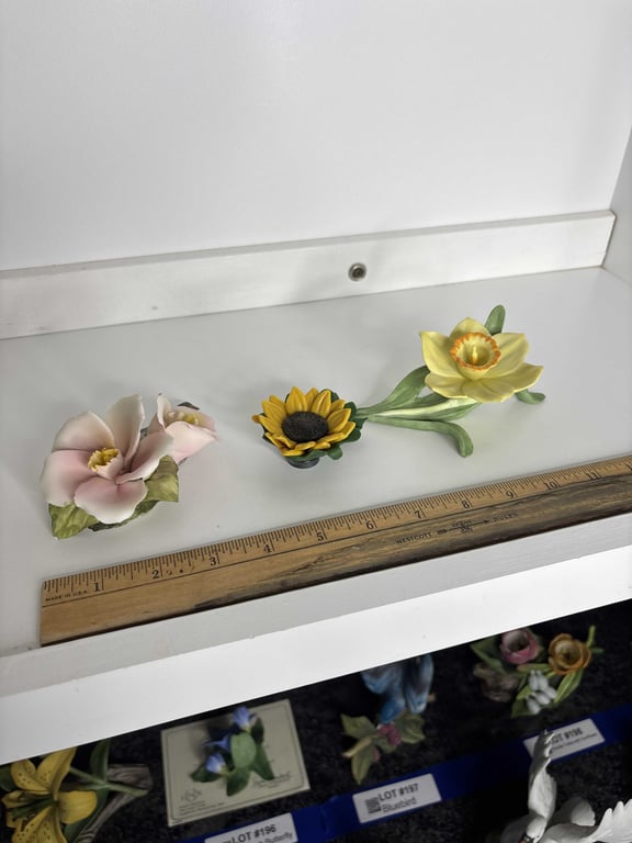 Dogwood Bloom, Jonquil, Sunflower - Image 2