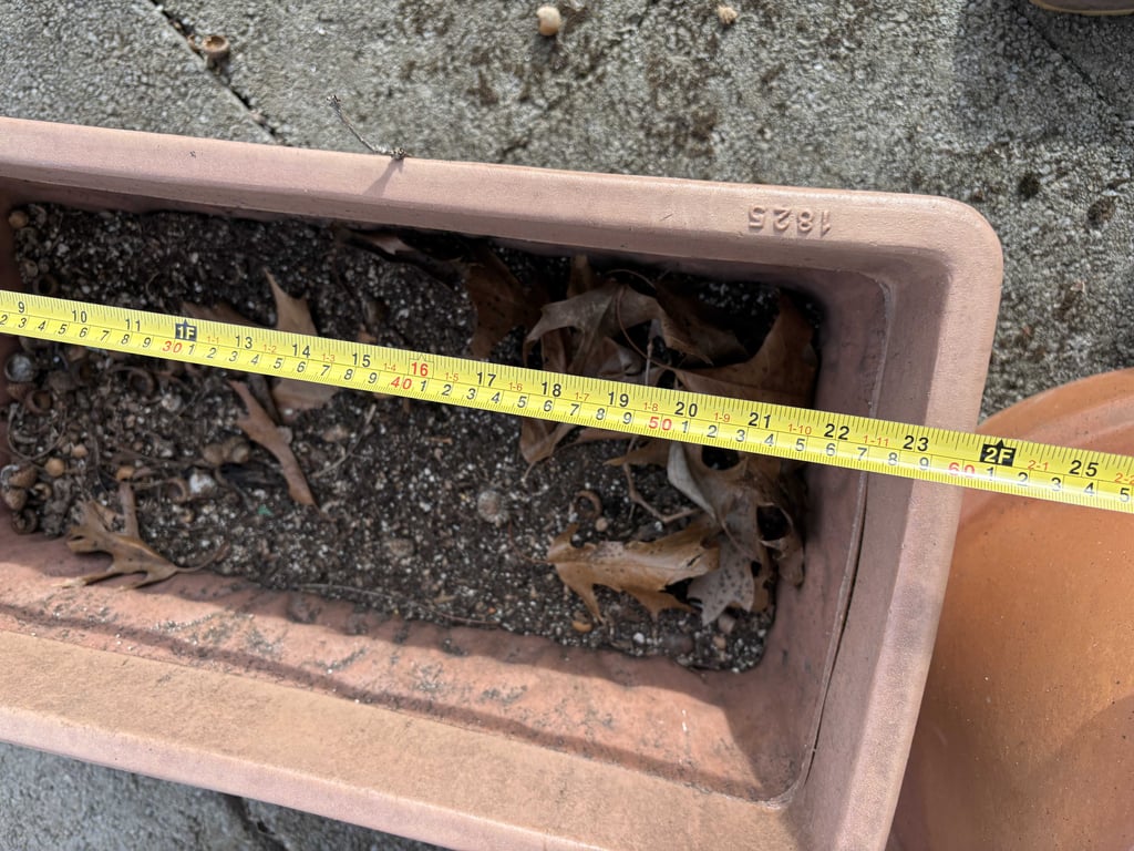 Misc Planters - Image 6