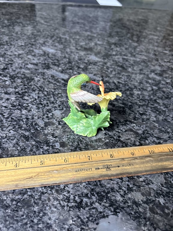 Mexican Broad Billed Hummingbird - Image 2