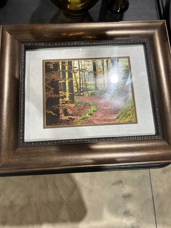 Framed Nature Pictures - Image 3
