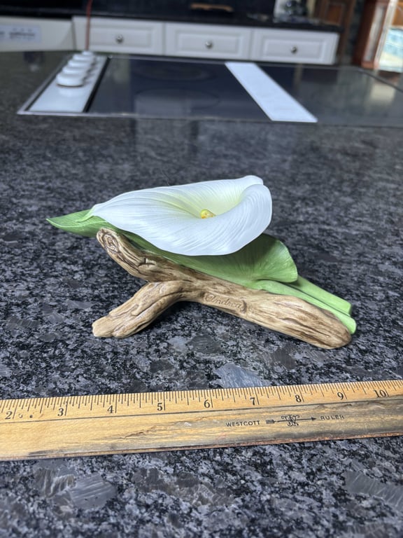 Calla Lily  - Image 2