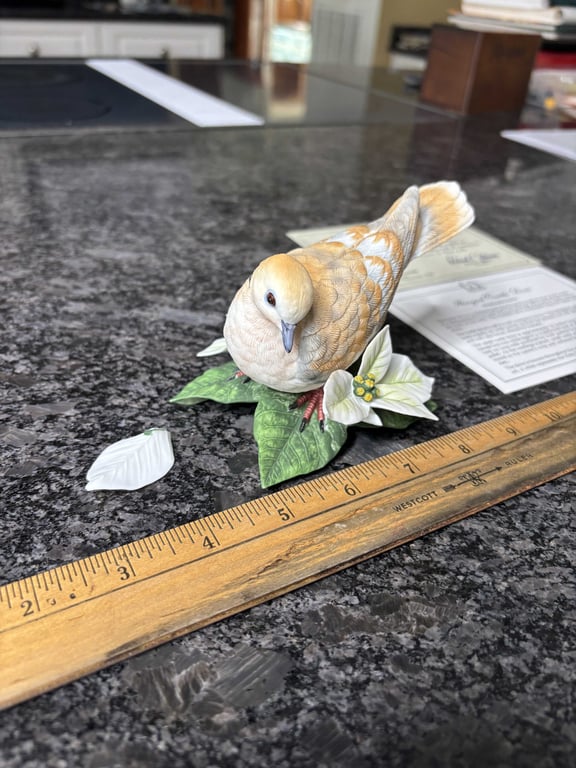 Lenox Turtle Dove - Image 2