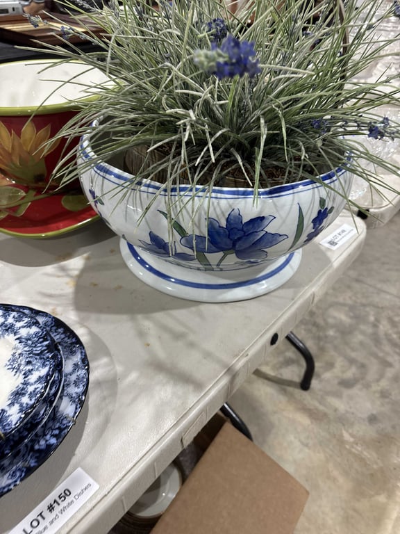 Blue and White Pot and Plant - Image 2