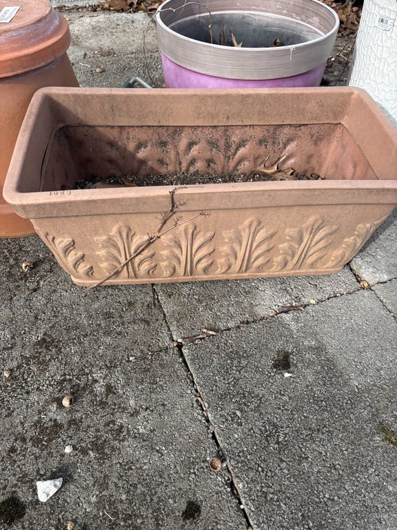 Misc Planters - Image 2