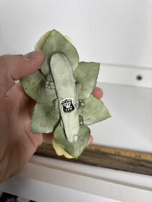 Two Golden Crown E&R Roses - Image 3