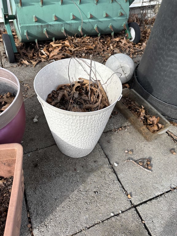 Misc Planters - Image 3