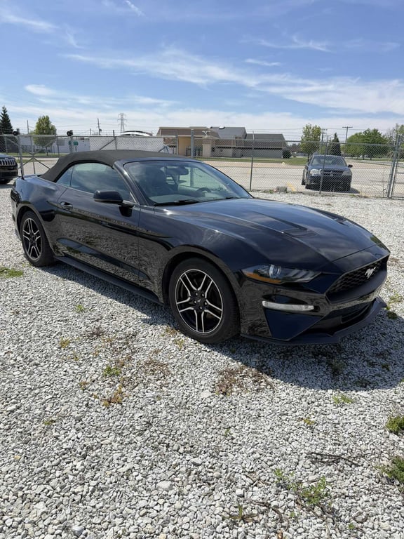 Image for 2019 Ford Mustang Convertible