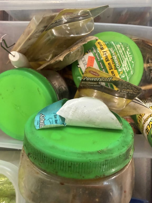 GROUPING OF FISHING BAIT
