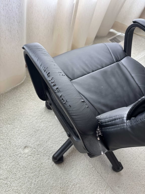 Office Chair - Image 3