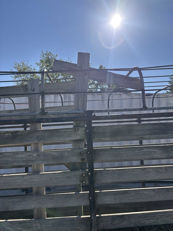 Stock trailer - Image 5
