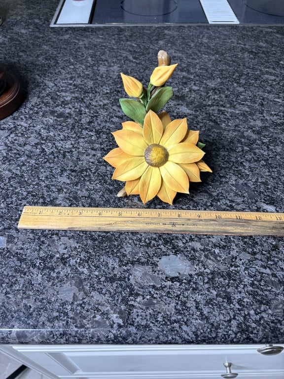 Black Eyed Susan by Capodimonte