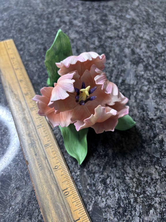 Lenox Parrot Tulip - Image 2