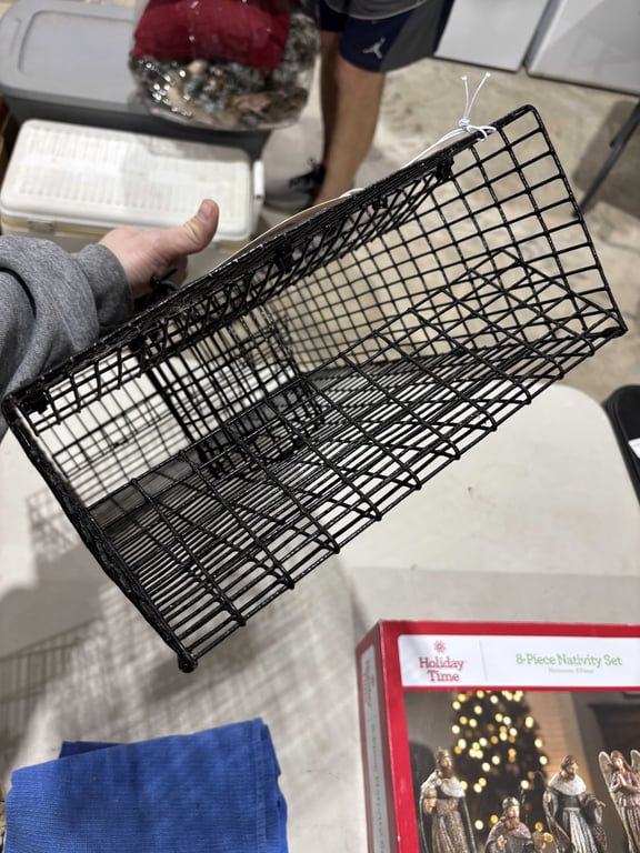Live Trap - Image 3