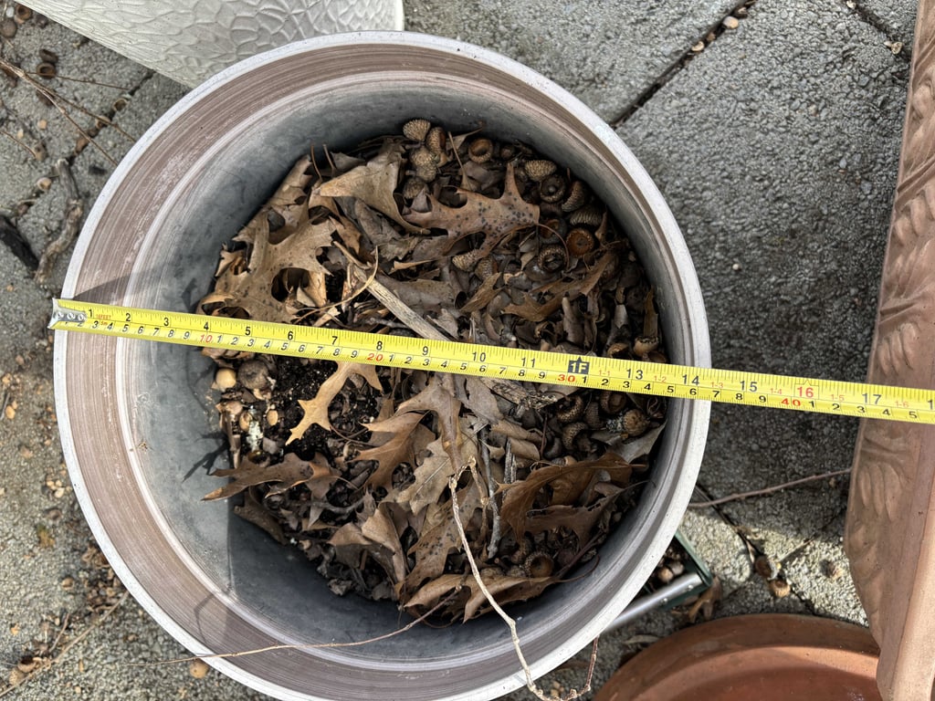 Misc Planters - Image 8