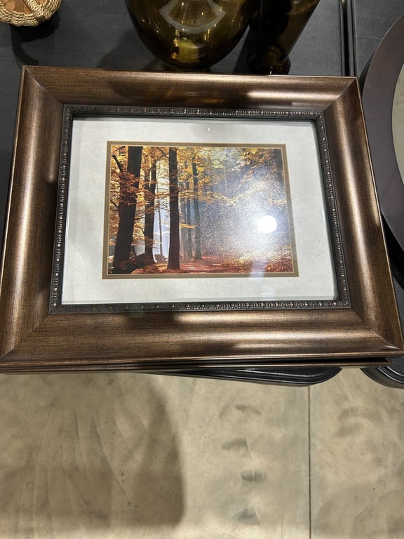 Framed Nature Pictures