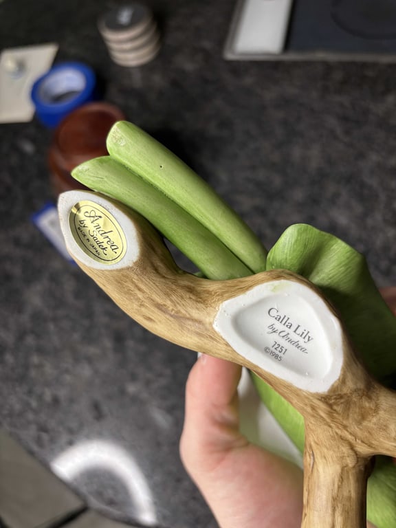 Calla Lily  - Image 3