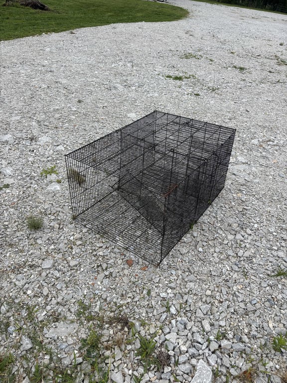 Live trap