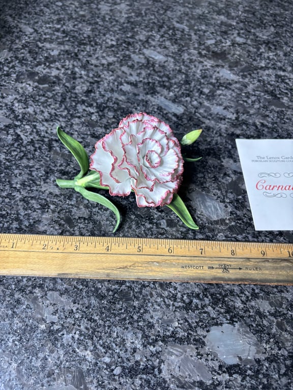 Lenox Carnation - Image 2