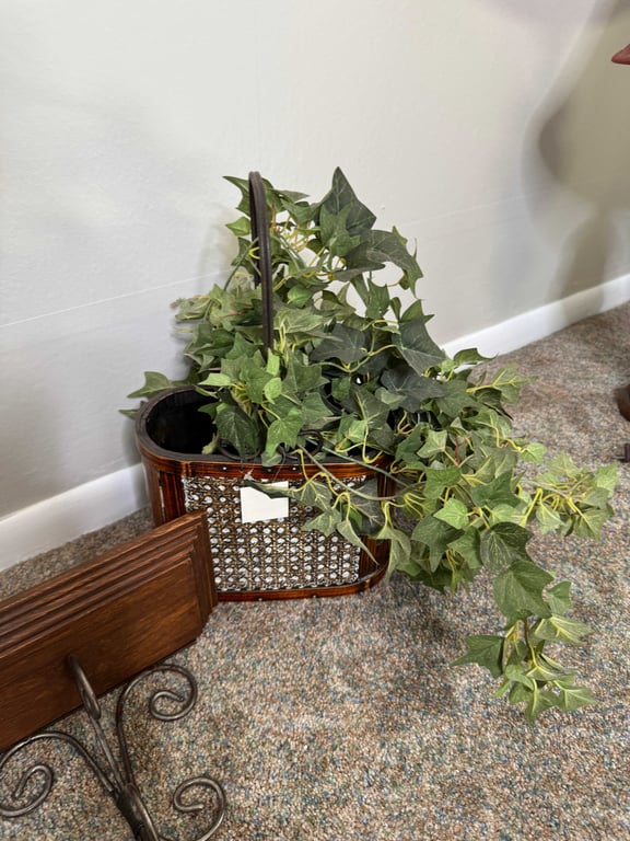 Artificial plant & wall shelf - Image 3
