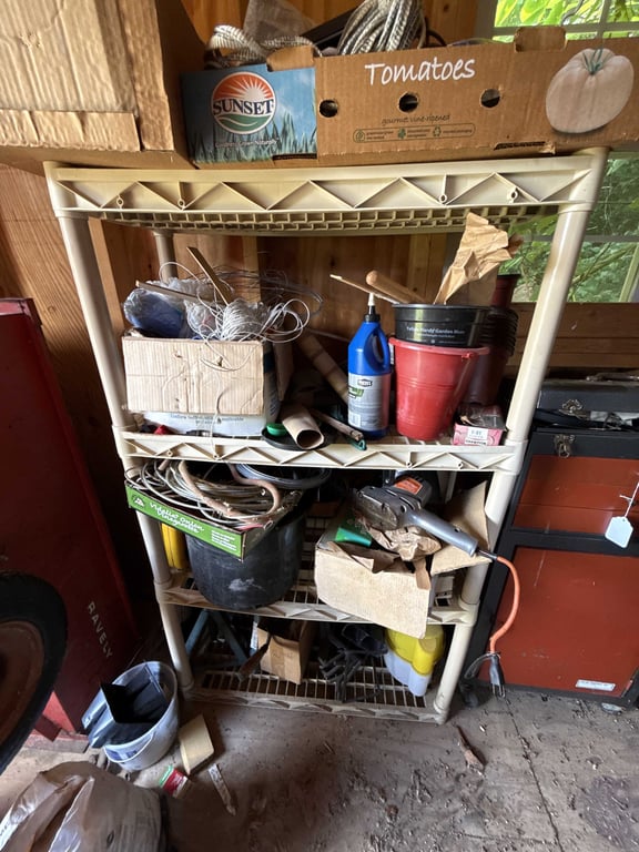 Shelf with Contents