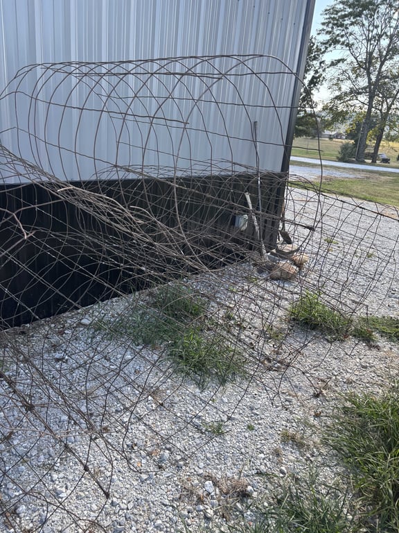 11 large tomato cages  - Image 3