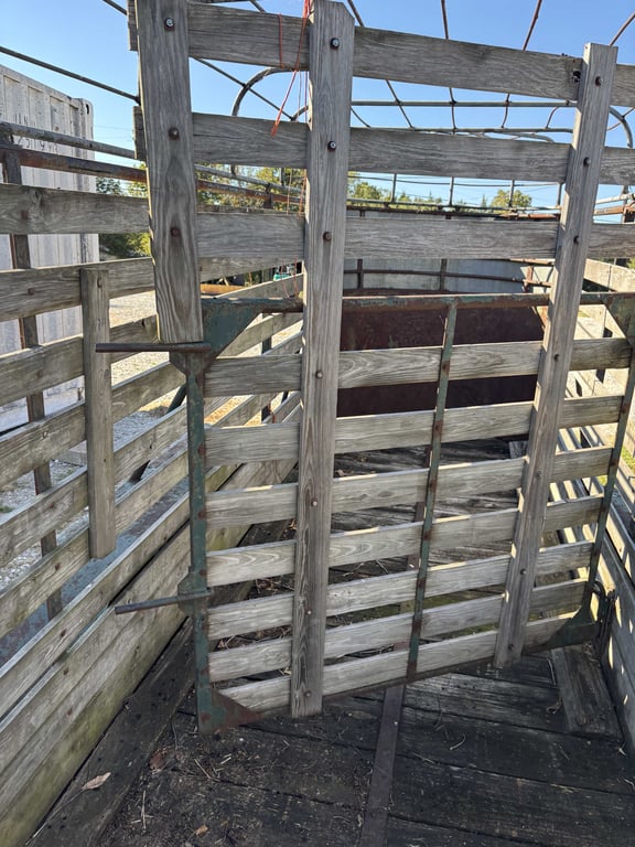 Stock trailer - Image 8