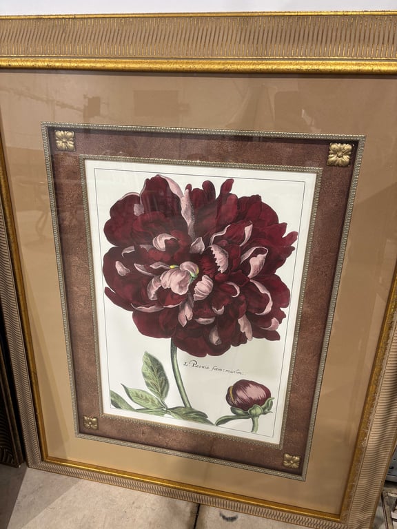 Pair of Peonie Flower Pictures - Image 2