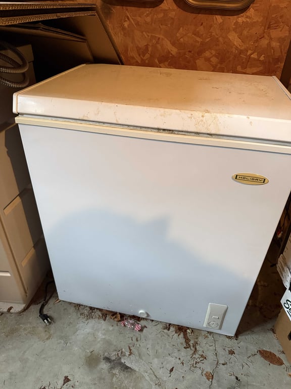 HOLIDAY CHEST/DEEP FREEZER
