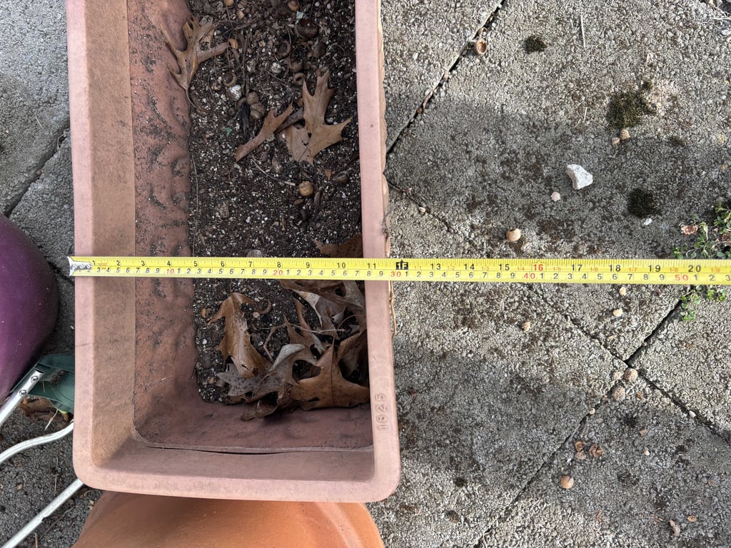 Misc Planters - Image 7