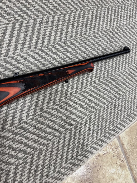 Ruger 10/22 Tiger - Image 5