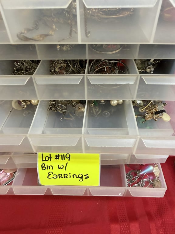BIN W/EARRINGS - Image 2