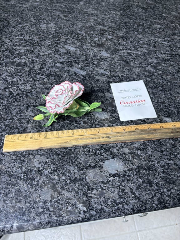 Lenox Carnation