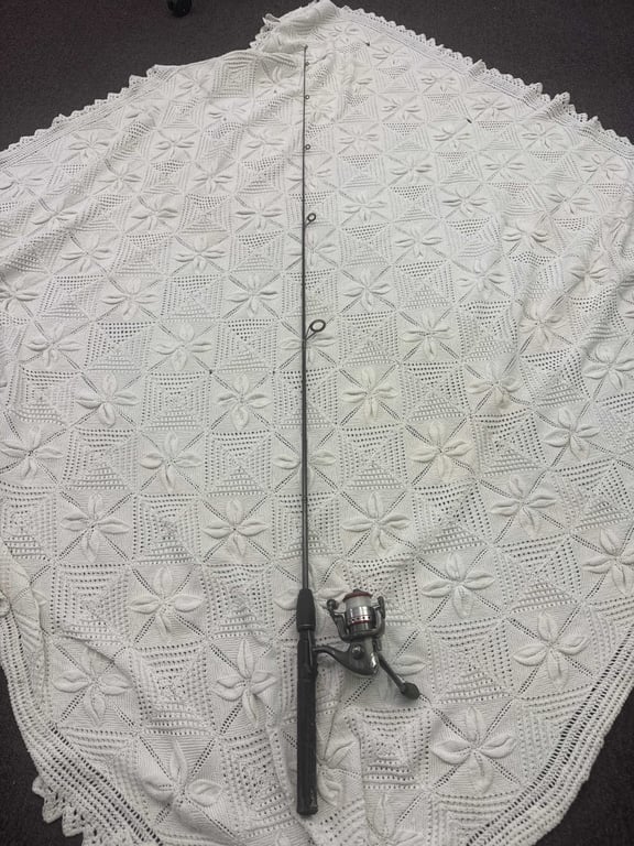 Fishing rod #10