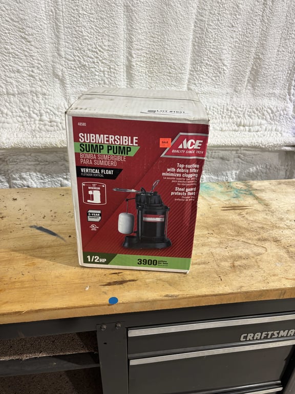 ACE sumbersible sump pump