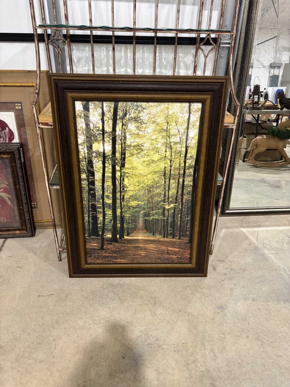 Large Framed Pictures of Woods