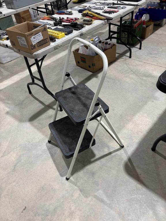 Costco step ladder