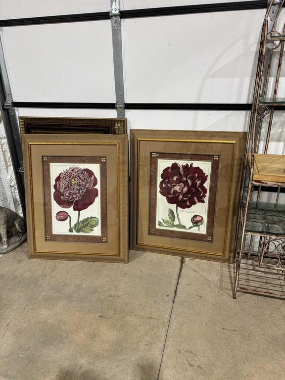 Pair of Peonie Flower Pictures